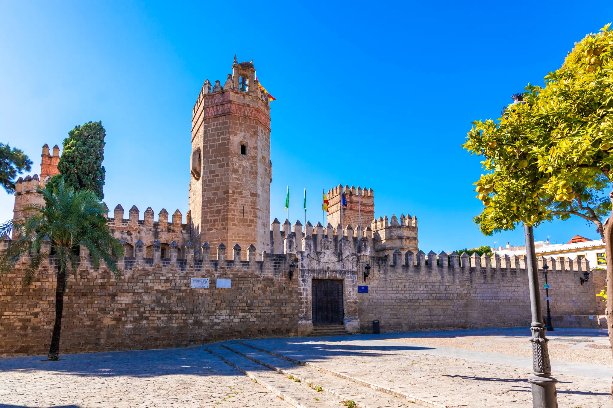 AdobeStock_190290884.jpeg