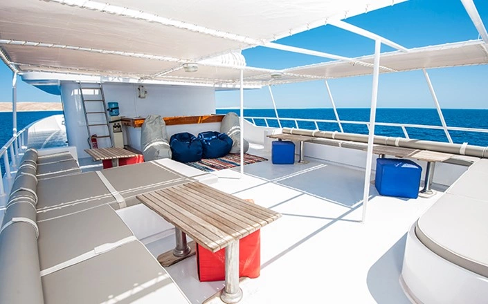 upper_deck_1_1d7ed_lg.jpg