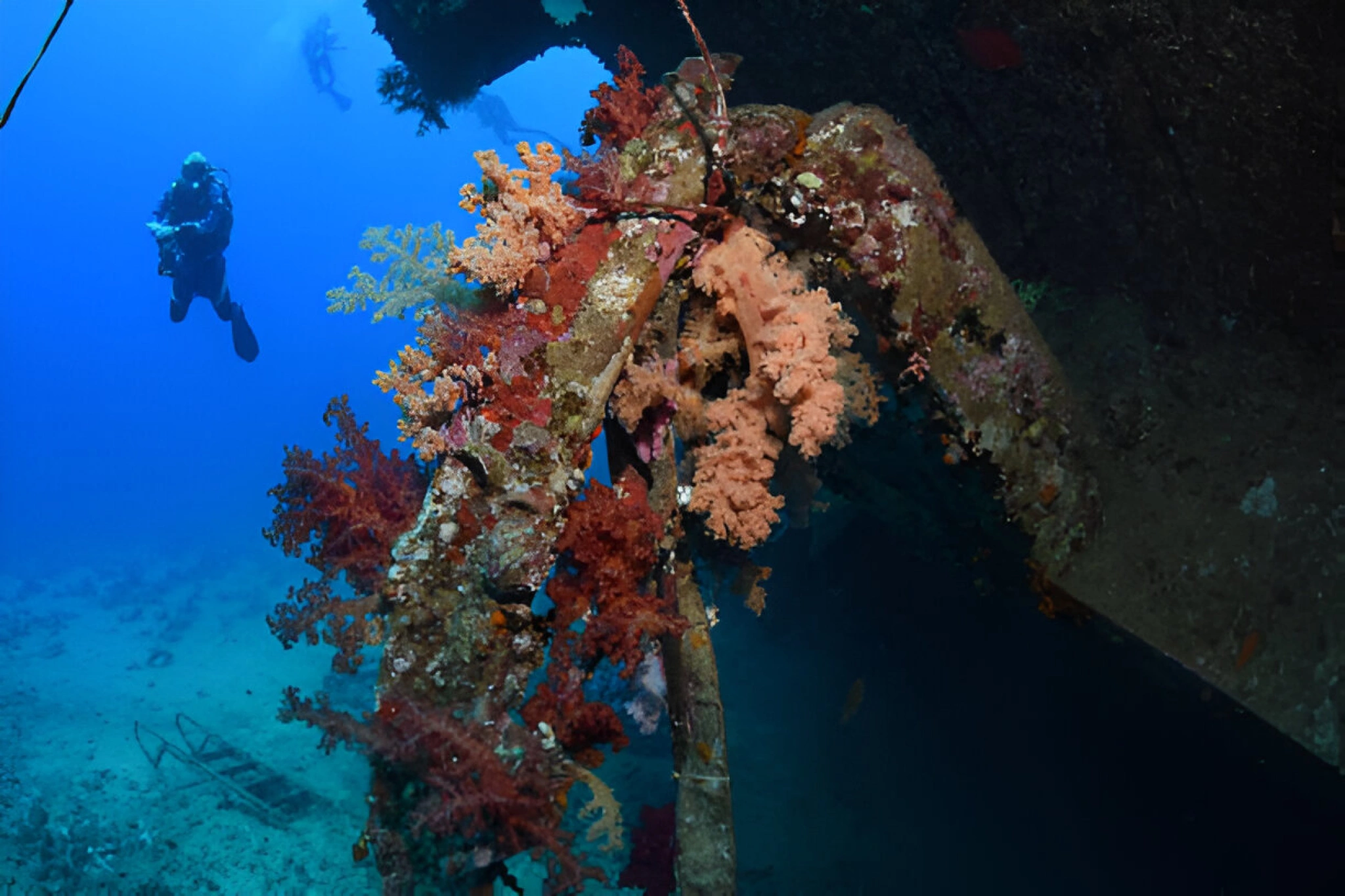 giannis-d-shipwreck-red-sea-egypt-photo-4.jpg