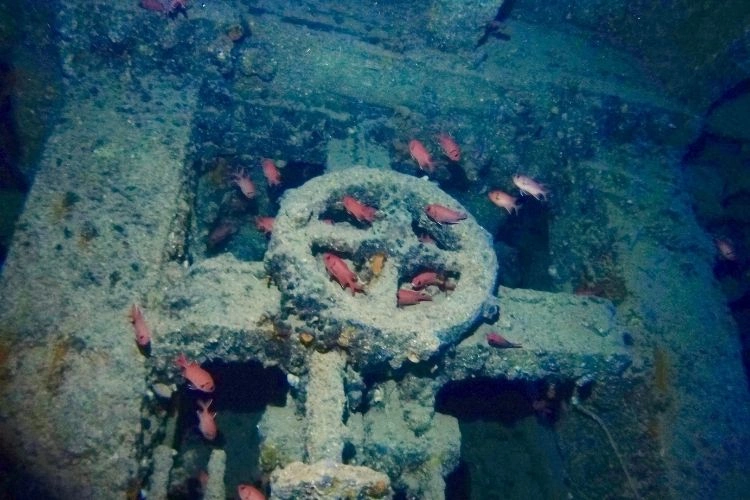 ss_thistlegorm_1.jpg