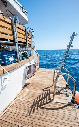 dive_deck_3_e1076_lg.jpg