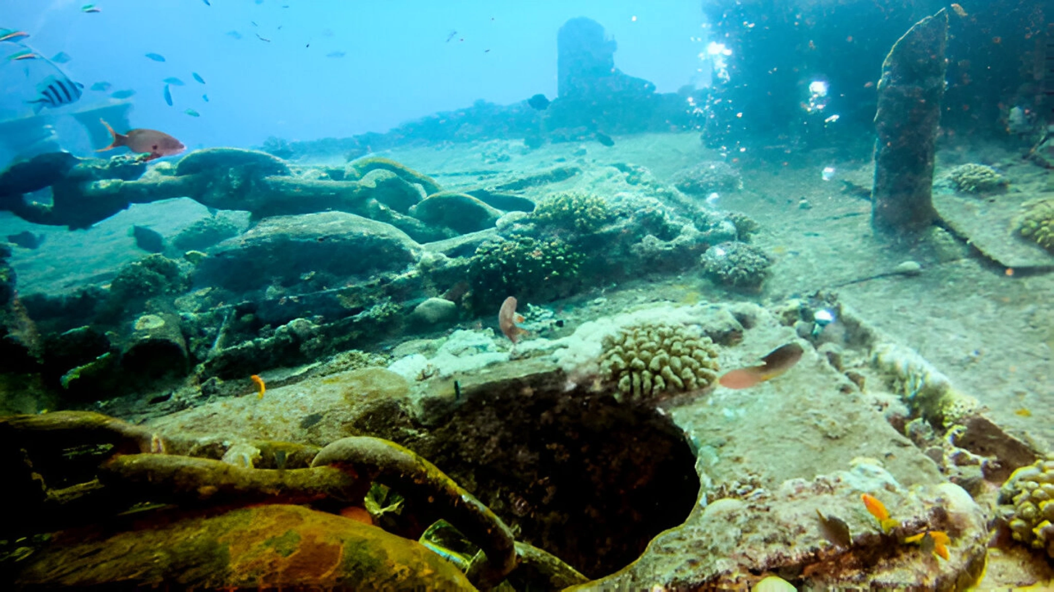 giannis-d-shipwreck-red-sea-egypt-photo-2.jpg