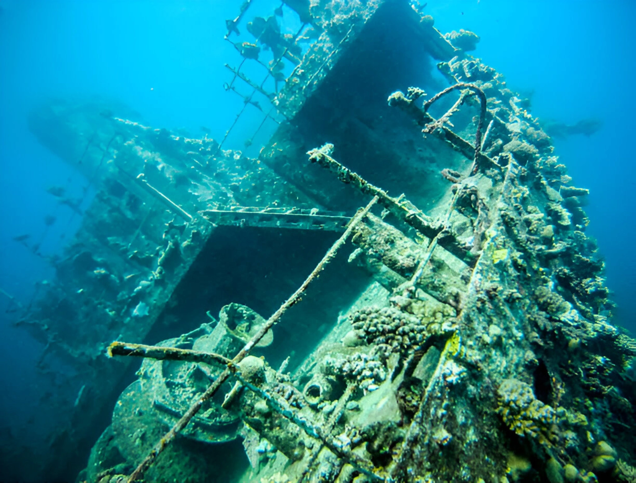 giannis-d-shipwreck-red-sea-egypt-photo-1.jpg