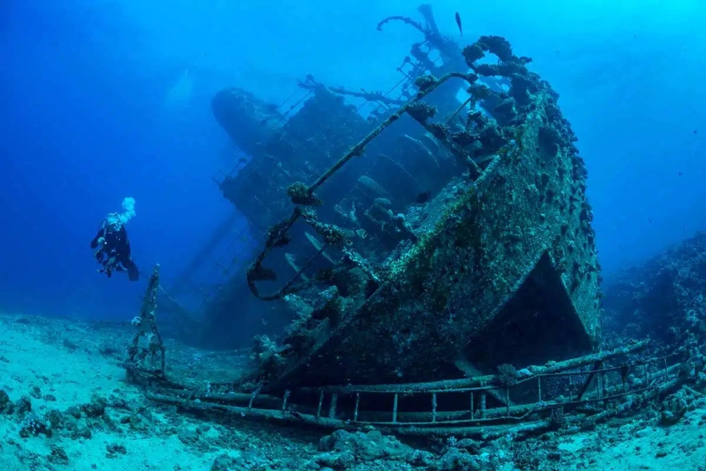 Croisière Plongée  en 8J/7N : le Nord et Ses Vestiges Marins