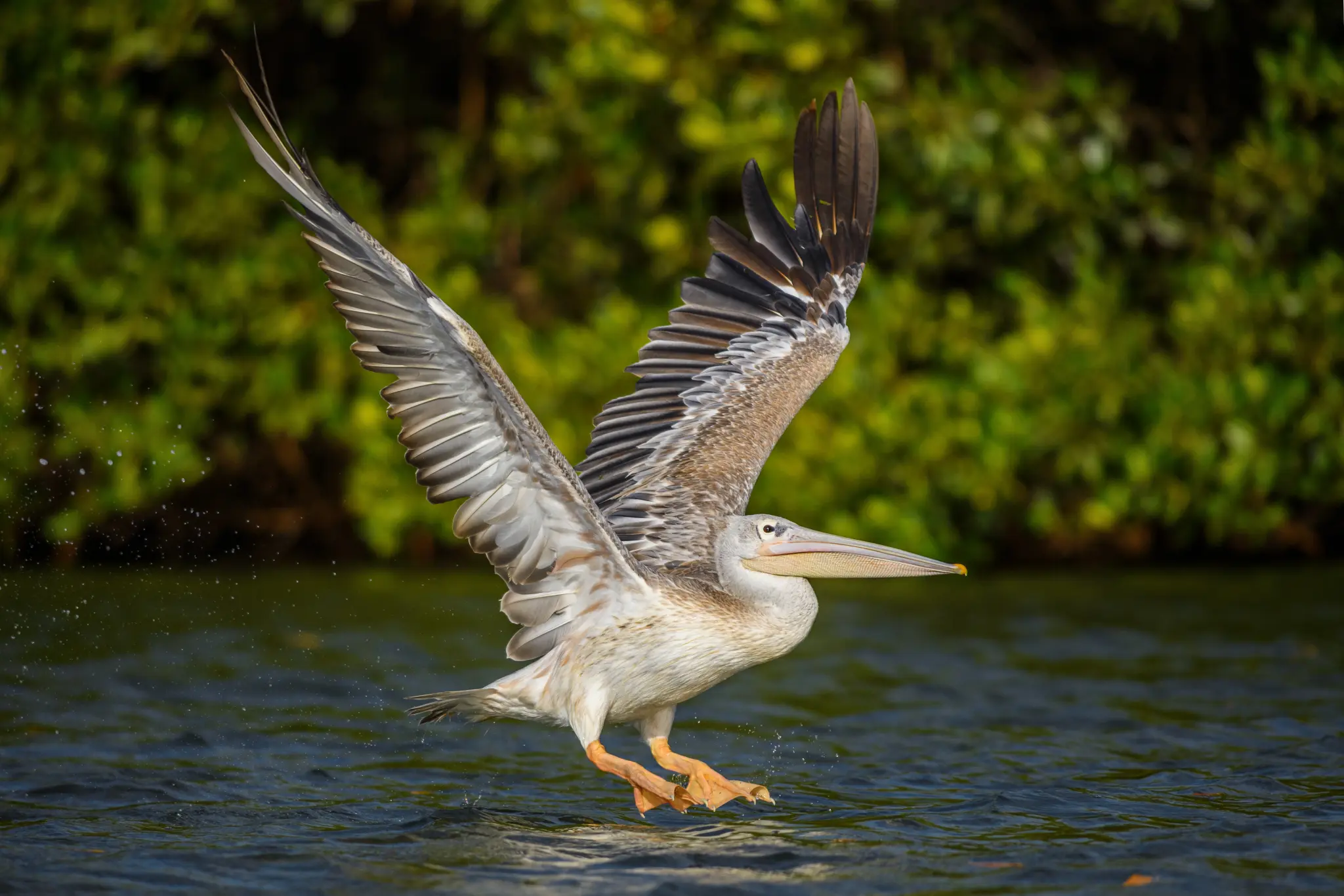 AdobeStock_279777160.jpeg