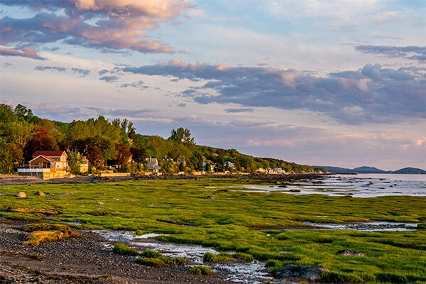 vue_908460_pgbighd.jpg