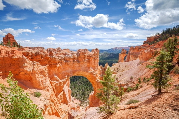 vue_622269_pgbighd.jpg
