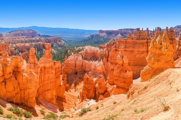 vue_614776_pgbighd.jpg