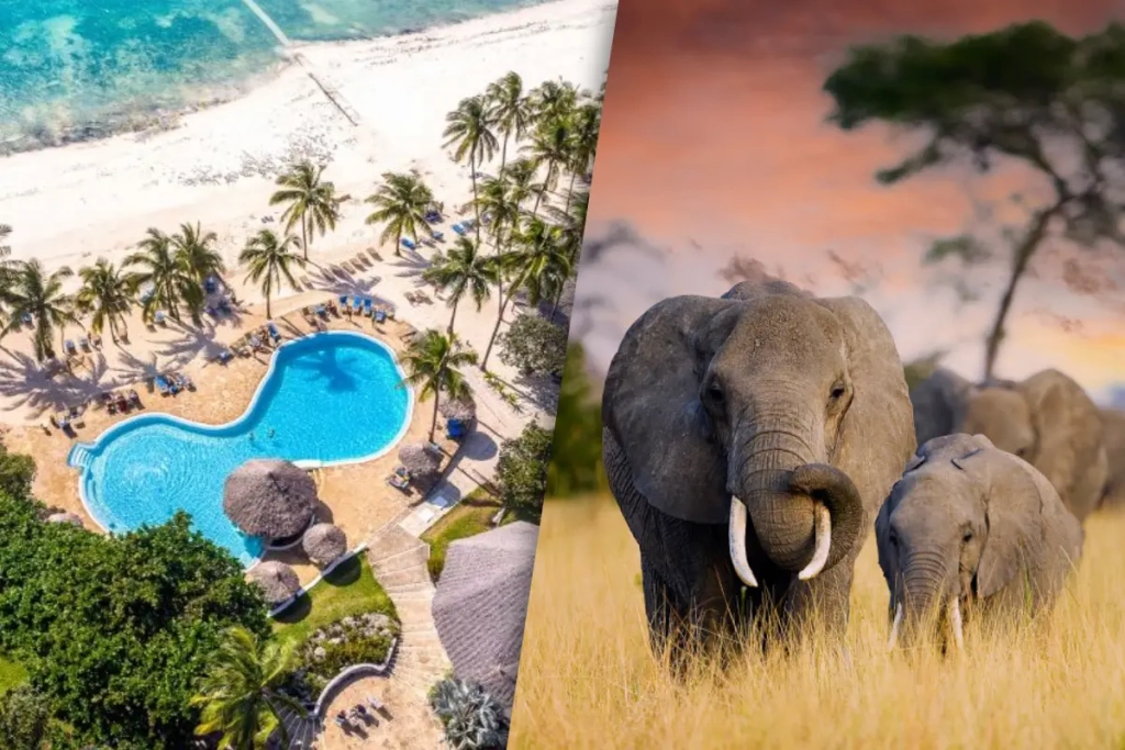 Safari Ngorongoro 2 nuits et Séjour au Kappa Club Zanzibar 5*