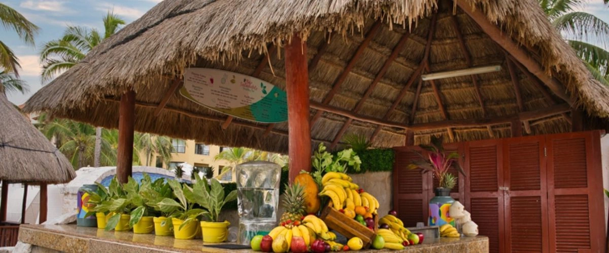 09_Healthy_Bar_Sandos_Playacar.jpg