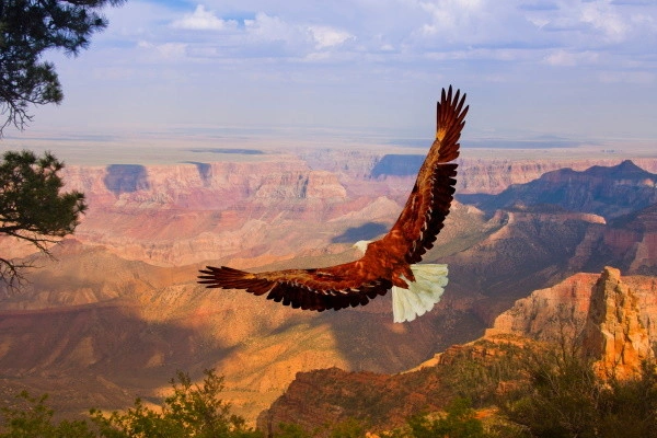 vue_613221_pgbighd.jpg