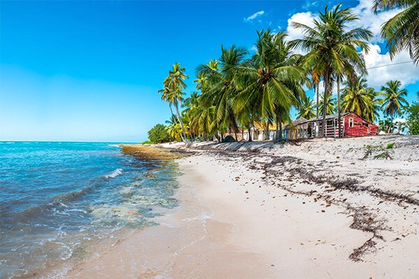 Club Escapades au Coeur des Caraïbes, logement au Framissima Catalonia Bavaro *****