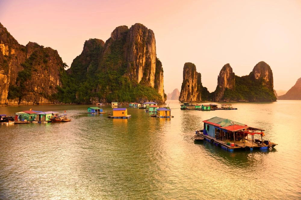 18305.jpg