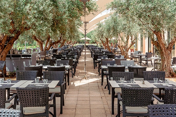 vue_894459_pgbighd.jpg