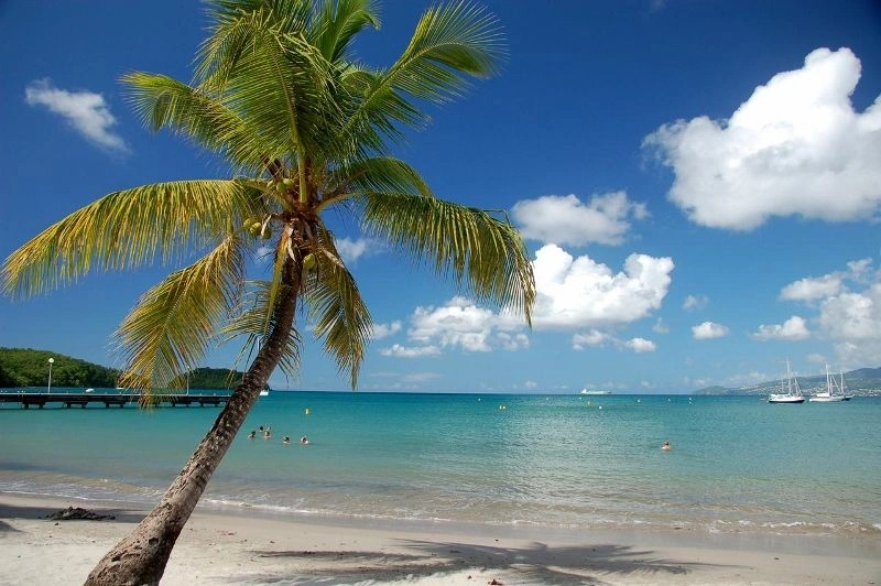 Combiné Martinique Guadeloupe avec Location de voiture - Village Créole 3* & Résidence Habitation Grande Anse 4*