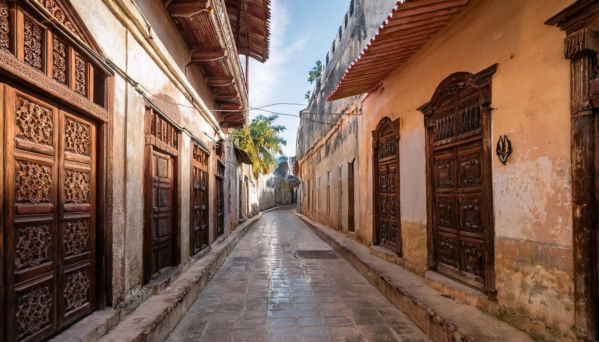 ruelle.jpeg