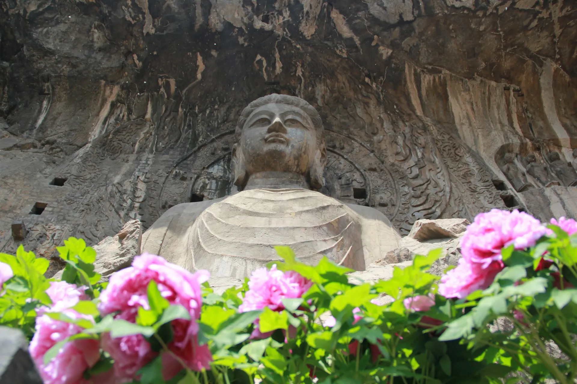 Bouddha des grottes de Longmen et pivoines en fleurs, Luoyang