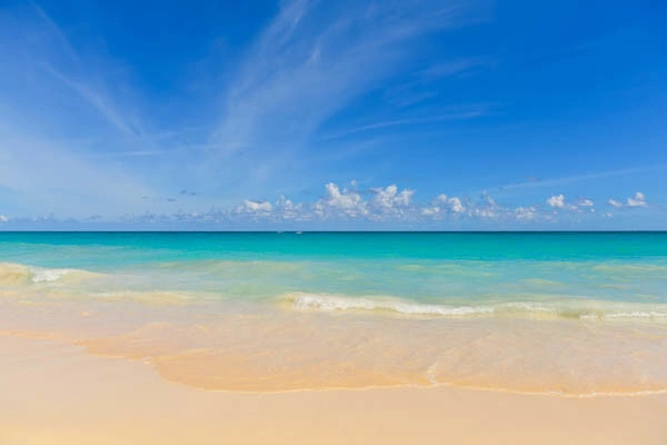 vue_765906_pgbighd.jpg