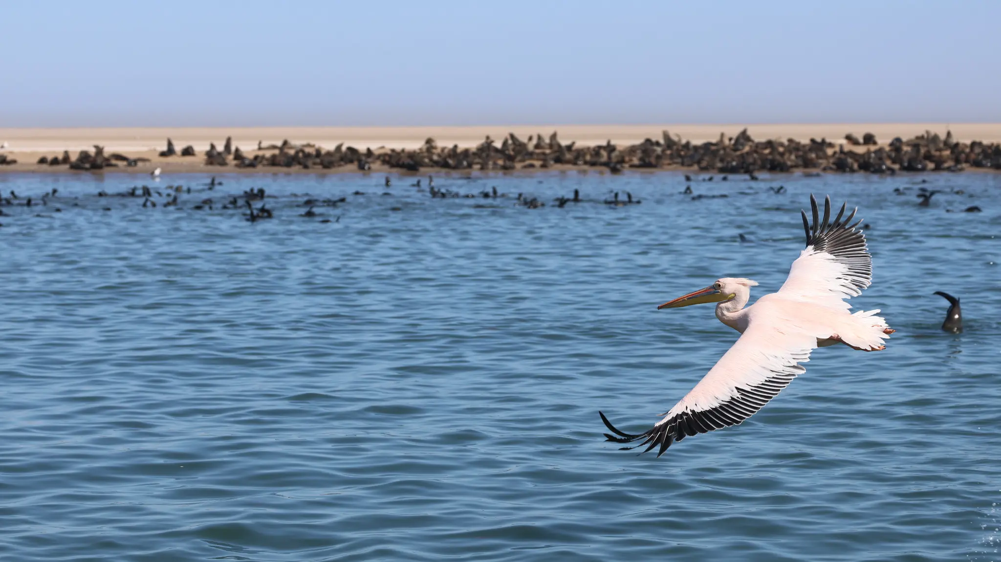 AdobeStock_1717691285.jpeg