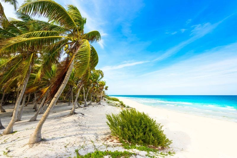 Circuit Merveilles du Yucatan depuis l'hôtel Ocean Coral Turquesa 5*