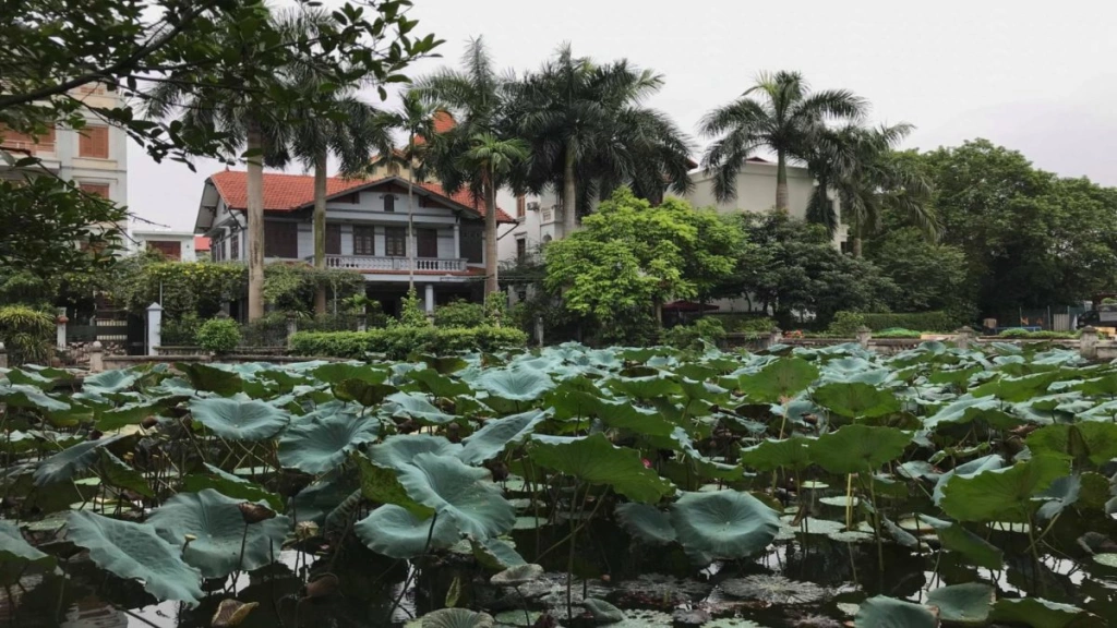 Circuit une autre facette du Vietnam