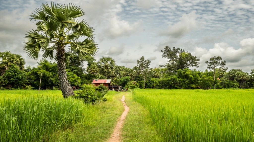 Circuit Cambodge à la folie