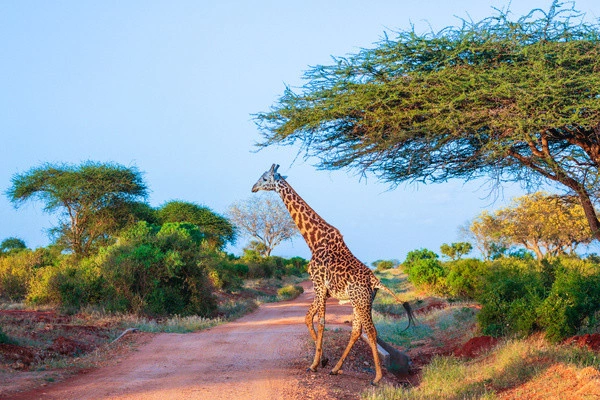 vue_714913_pgbighd.jpg