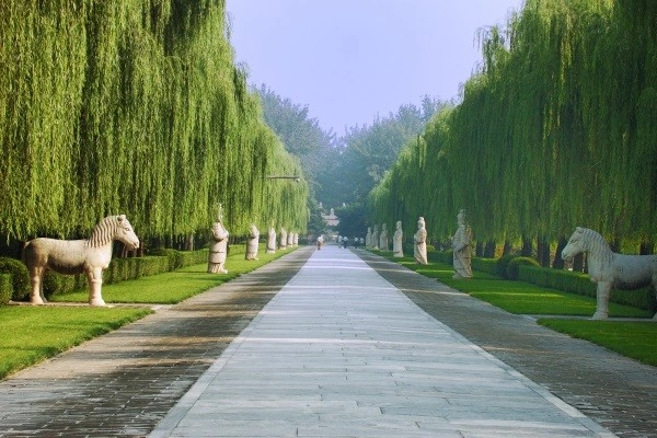 vue_453291_pgbighd.jpg