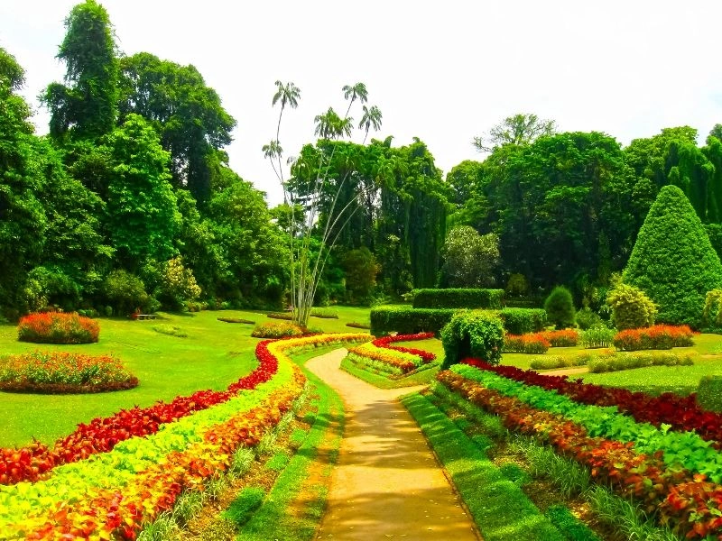 Circuit Les Incontournables du Sri Lanka et Extension au Club Coralia Citrus Waskaduwa 5*
