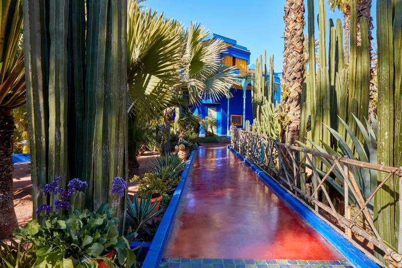 Jardin_Majorelle_AdobeStock_364923554_Editorial_Use_Only.jpg