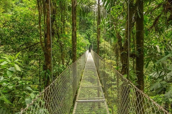 Circuit Jungles et forêts avec Rincon de la Vieja (maximum 14 participants)