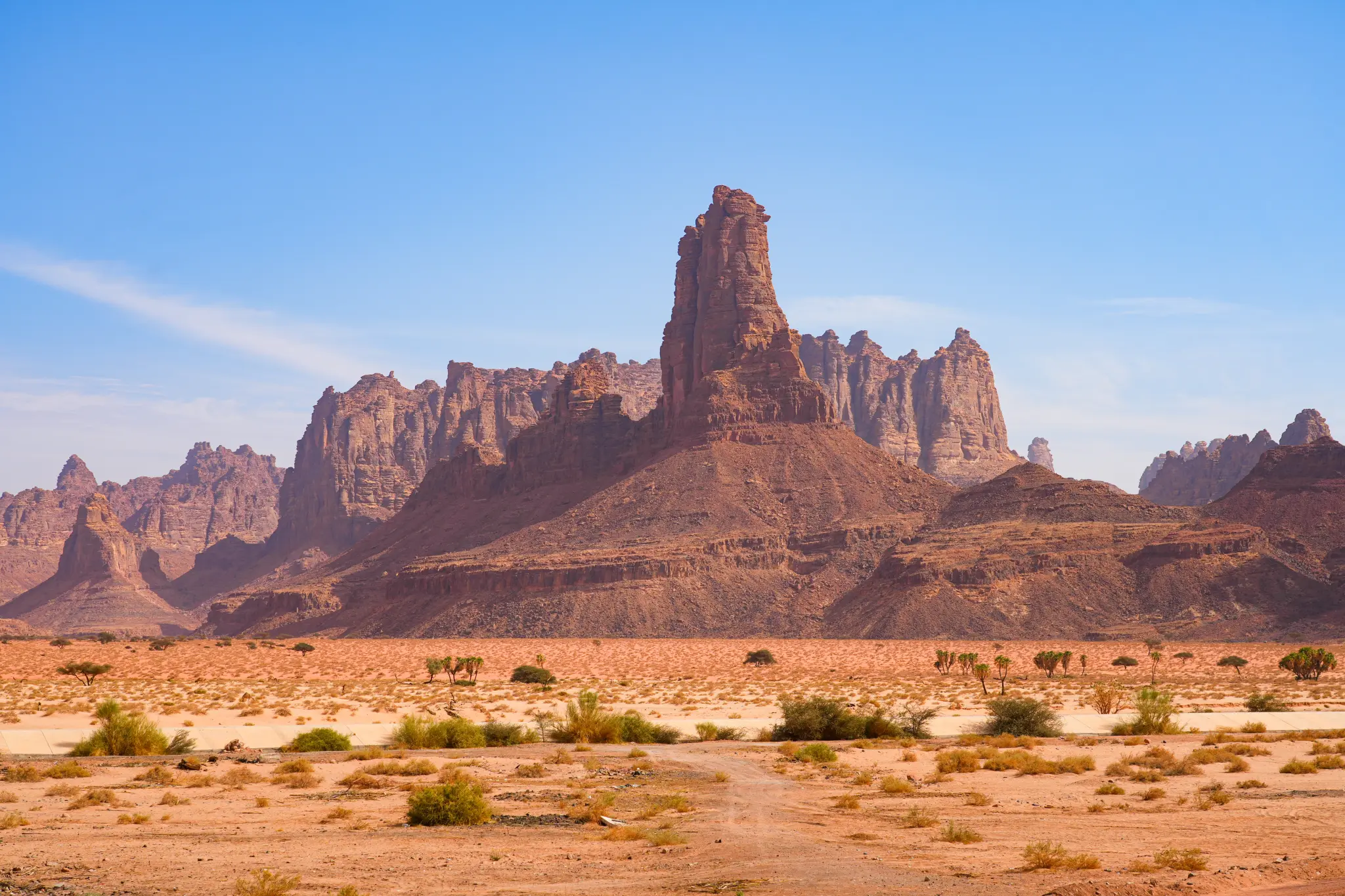 AdobeStock_1970293928.jpeg