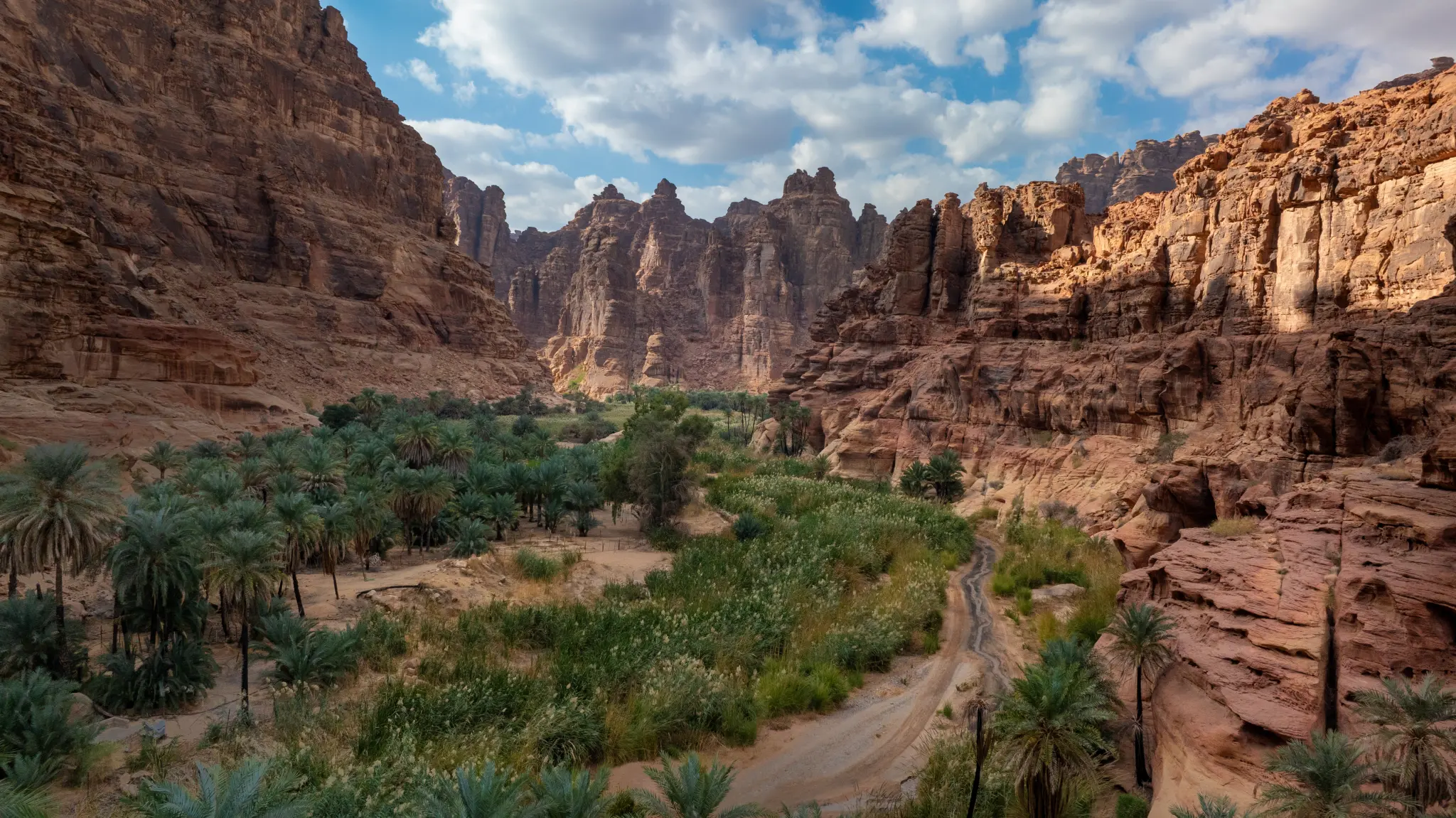 AdobeStock_2172445539.jpeg