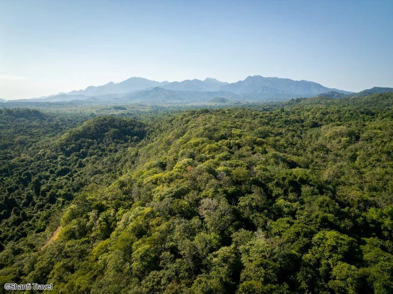 18473.jpg