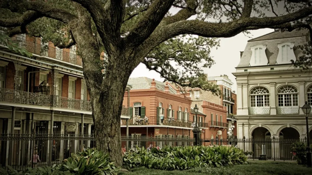 Circuit Etats-Unis Bayous et Plantations