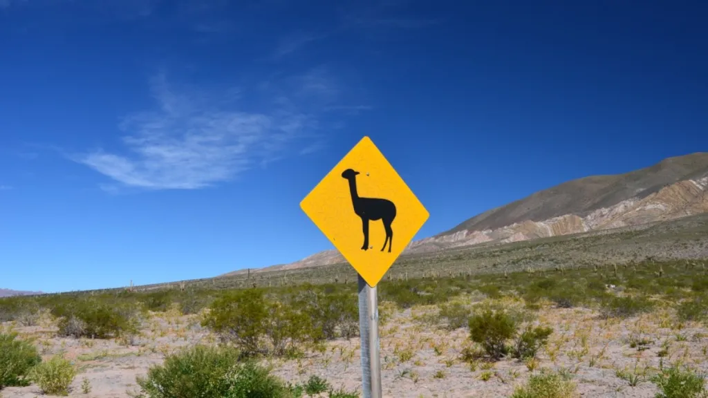 Autotour Argentine - Des Andes colorées à la route 40 mythique