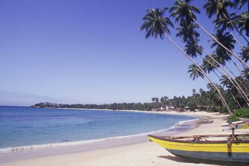 Circuit Trésors du Sri Lanka 5* & extension The Eden Beruwala 5*