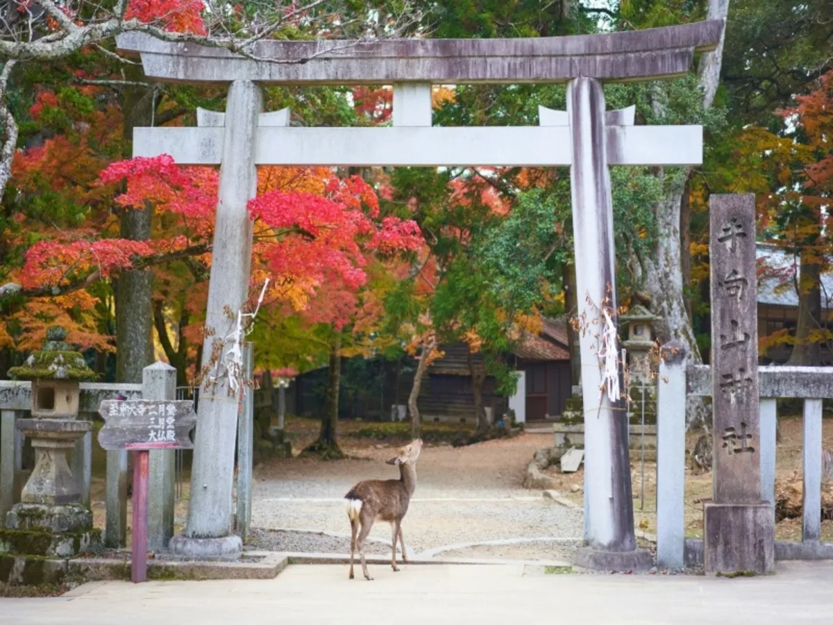 jkk8oq3u3jtmtb59gu3i.jpg?_a=BACAEuDL