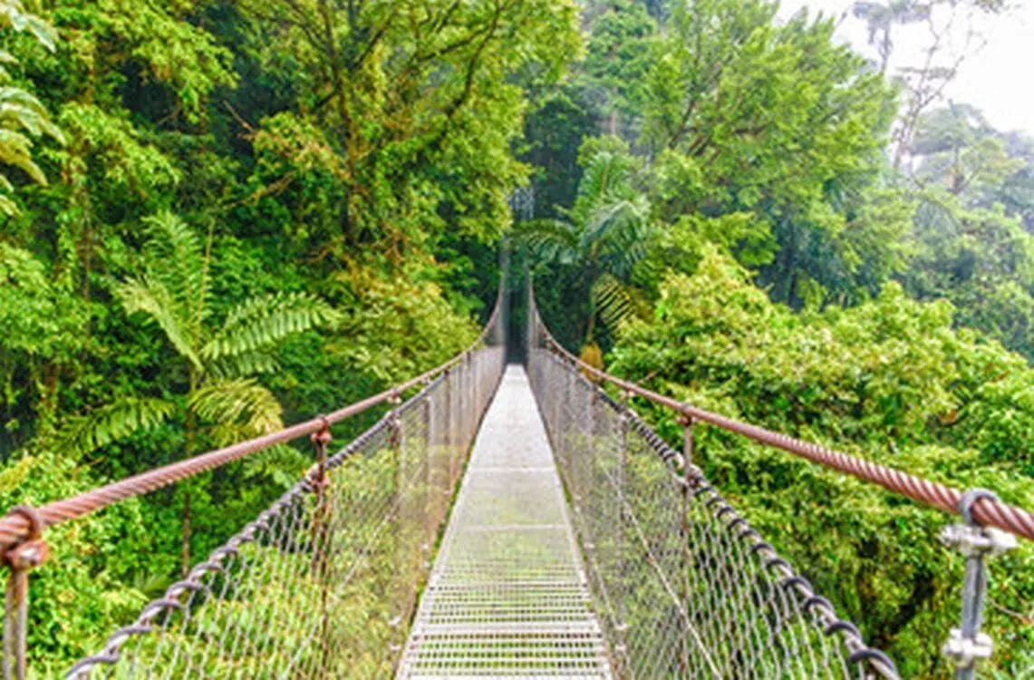 08-Ponts-Suspendus-Arenal.jpg