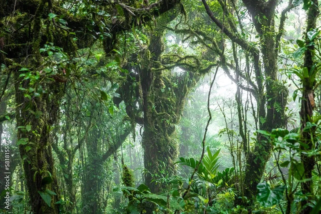 13-Monteverde.jpg