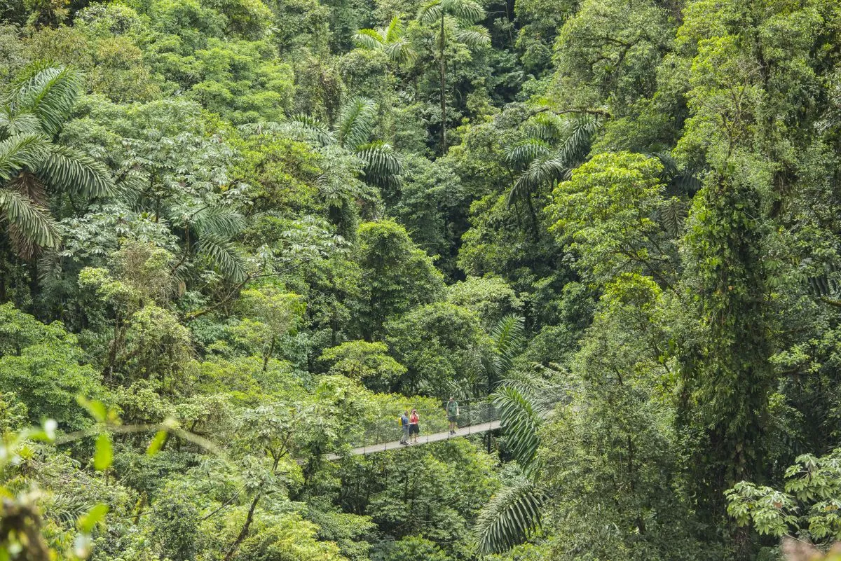 09_Reserve_Monteverde.jpg