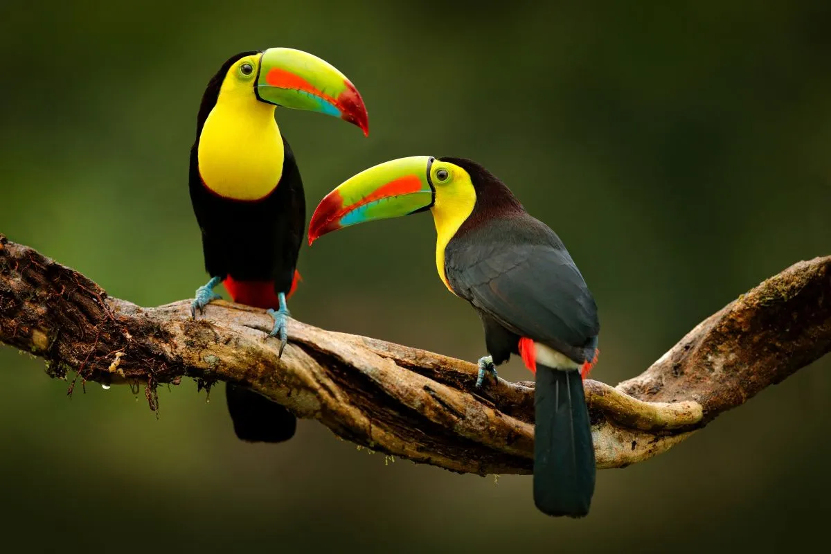 02_Costa_Rica.jpg