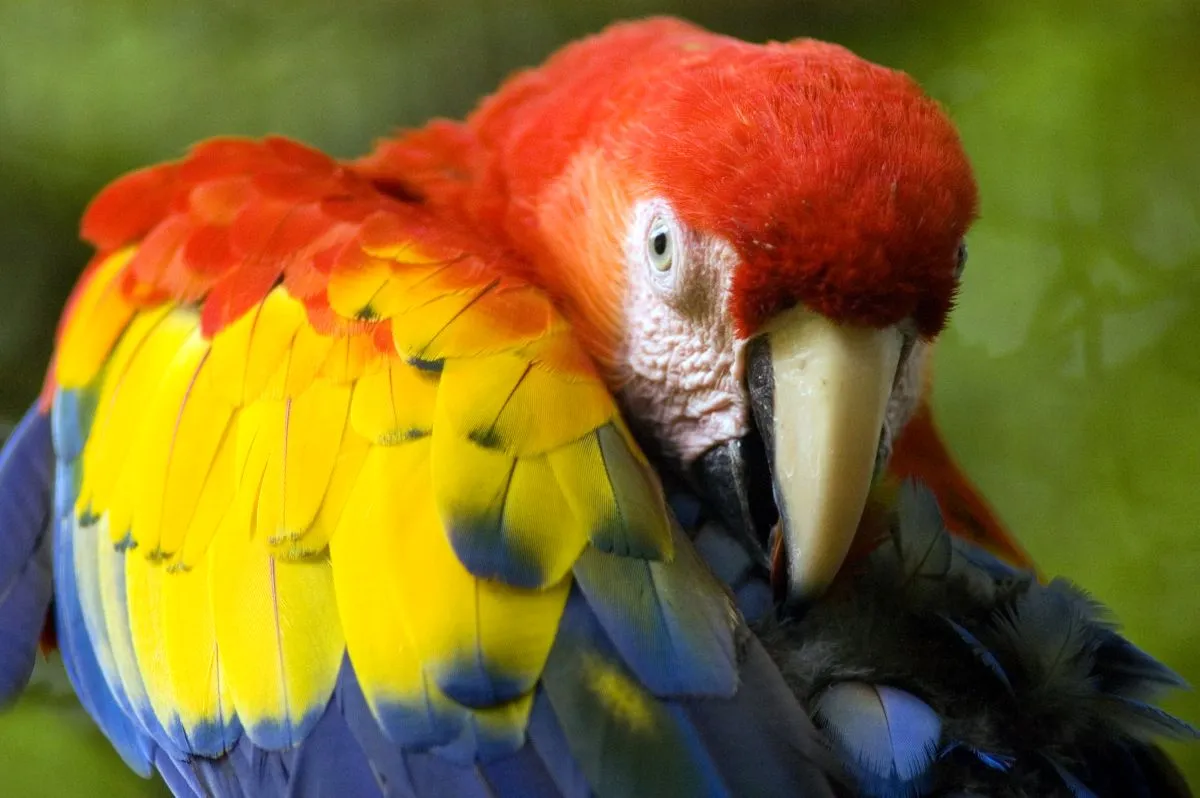 06_Costa_Rica.jpg