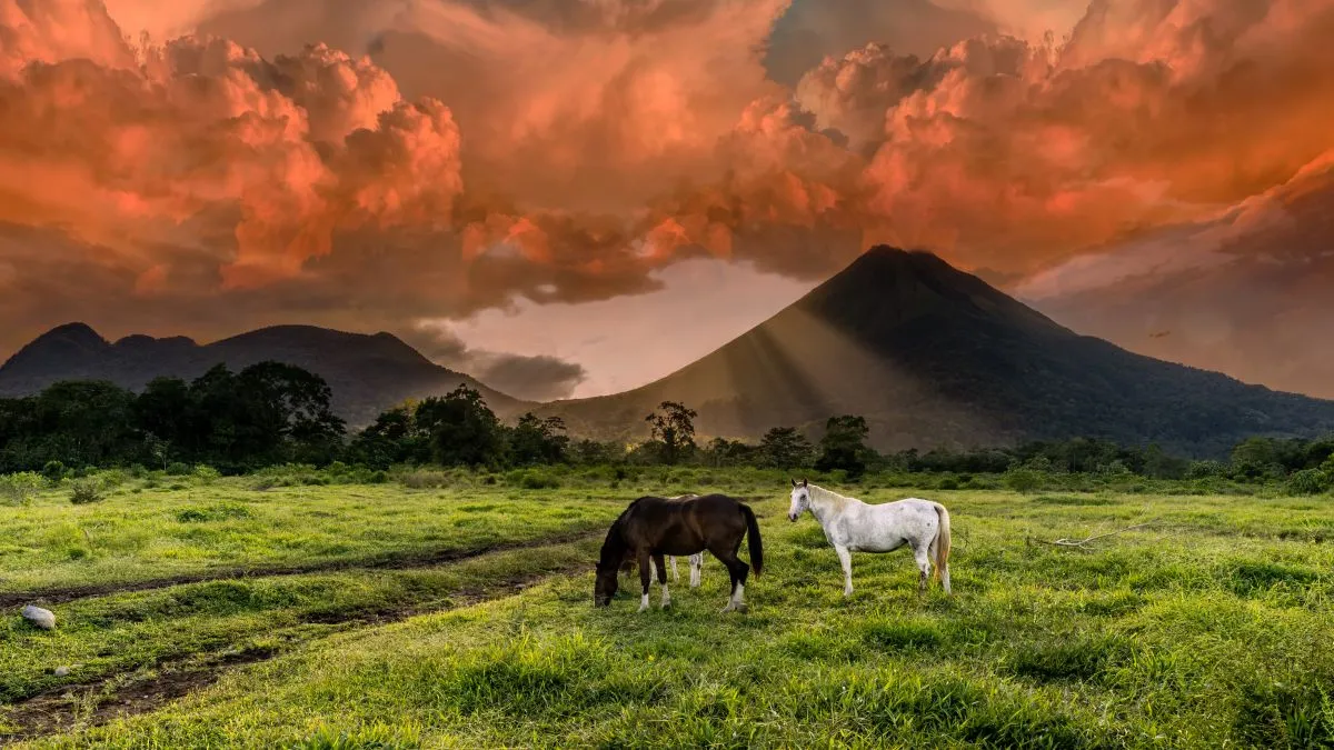 01_Arenal.jpg