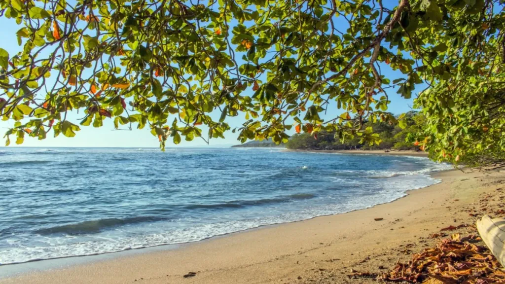 Circuit Costa Rica Rendez-vous en Terre Tica, limité à 14 personnes