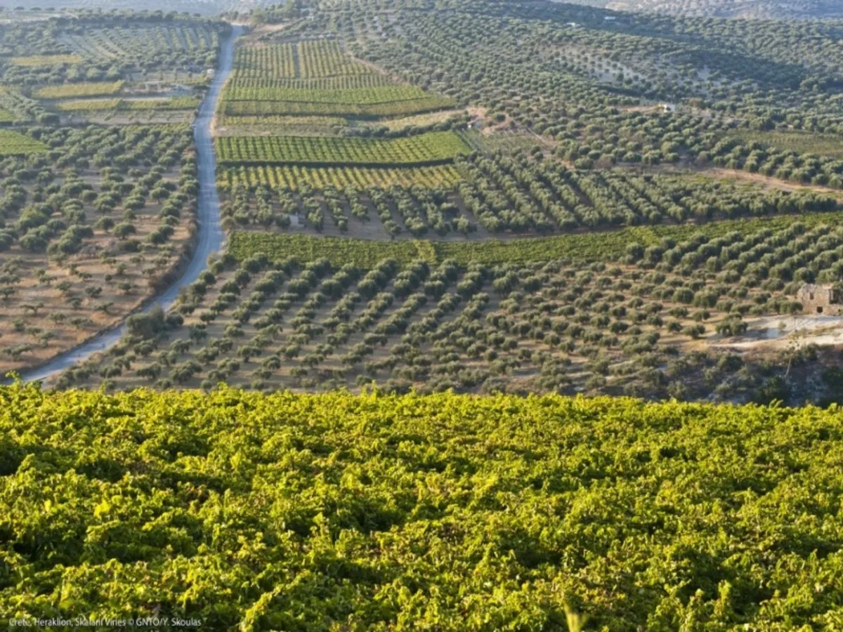bkjyjypovxiou6eu6byz.jpg?_a=BACAEuDL