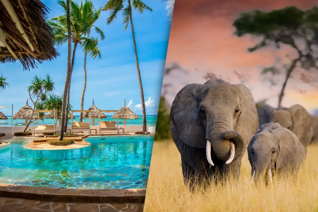 Safari 4 nuits Ngorongo, Tarangire et Manyara et Séjour au Kappa Club Dream's Bay Boutique Hotel 4*