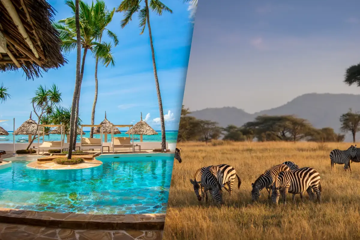 Safari_Serengeti_1_nuit_et_Sejour_au_Kappa_Club_Dreams_Bay_Beach_Hotel_4.webp