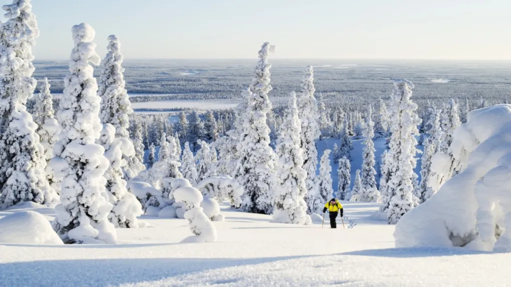 Séjour Laponie Multi-Activités Suomu chalets 4 nuits