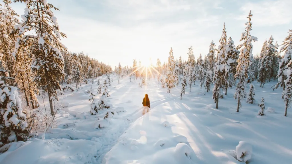 Séjour Laponie Multi-Activités à Rovaniemi